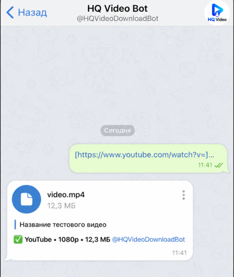 Пример диалога: пользователь отправляет ссылку YouTube и получает Document от HQ Video